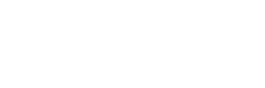 The Car Arena